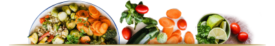 MEDITERRANEAN